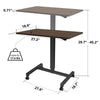 FitDesk Sit to Stand Desk (Dark Walnut)